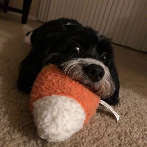 Meet your Posher, Eliane